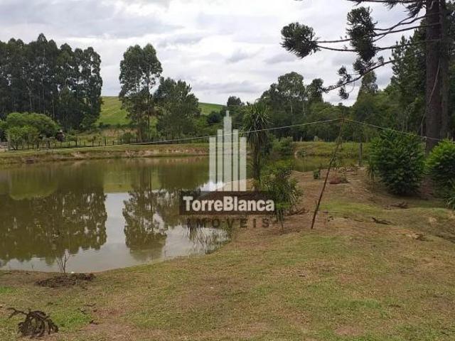 Sítio e chácara venda em Região Geográfica Imediata de Guarapuava, Guamiranga