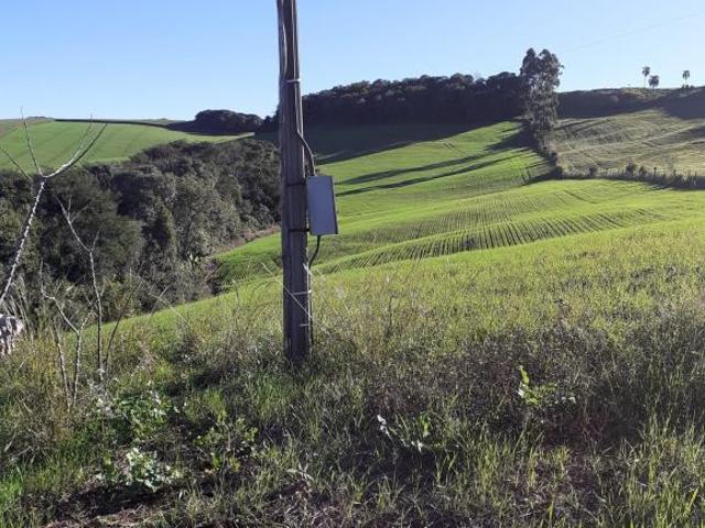 Sítio e chácara venda em Região Geográfica Imediata de Curitiba, Região Metropolitana de Curitiba