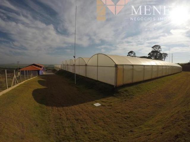 Sítio e chácara venda em Região Imediata de Ribeirão Preto, Região Metropolitana de Ribeirão Preto