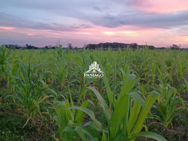Sítio e chácara venda em Região Geográfica Imediata de Cuiabá, Região Metropolitana do Vale do Rio Cuiabá