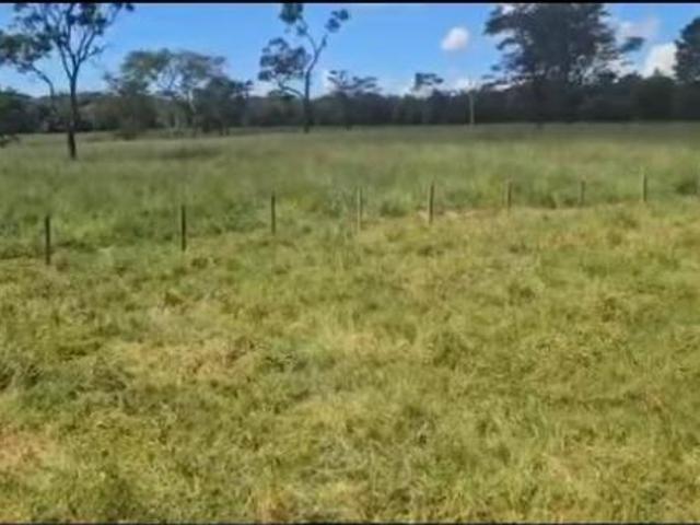 Sítio e chácara venda em Região Imediata de Franca, Cristais Paulista