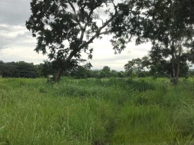 Sítio e chácara venda em Região Geográfica Imediata de Cuiabá, Nobres