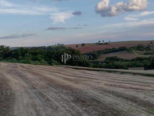Sítio e chácara venda em Região Geográfica Imediata de Cornélio Procópio-Bandeirantes, Uraí