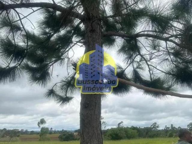 Sítio e chácara venda em Região Imediata de Sorocaba, Região Metropolitana de Sorocaba