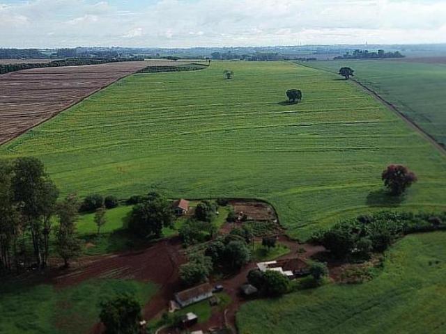 Sítio e chácara venda em Região Geográfica Imediata de Londrina, Cambé