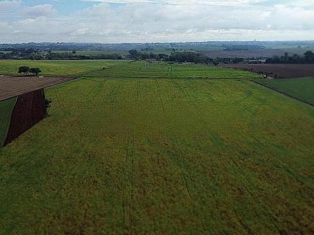 Sítio e chácara venda em Região Geográfica Imediata de Londrina, Cambé