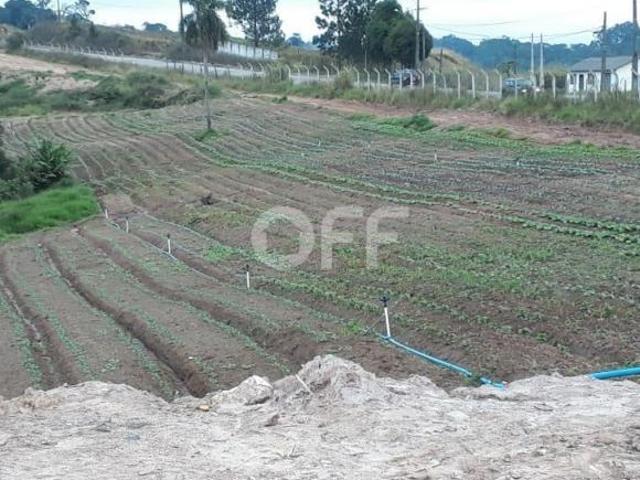 Sítio e chácara venda em Ibiúna, Ibiuna