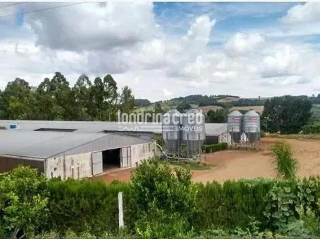 Sítio e chácara venda em Região Geográfica Imediata de Campo Mourão, Roncador