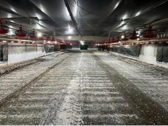 Sítio e chácara venda em Roncador, Região Geográfica Intermediária de Maringá