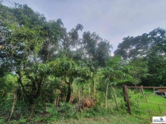 Sítio e chácara venda em Região Geográfica Imediata de Pará de Minas, Pará de Minas