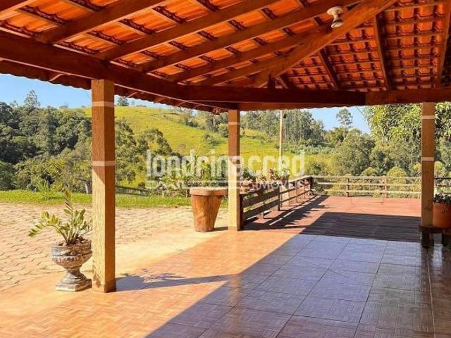 Sítio e chácara venda em Região Geográfica Imediata de Santo Antônio da Platina, Tomazina