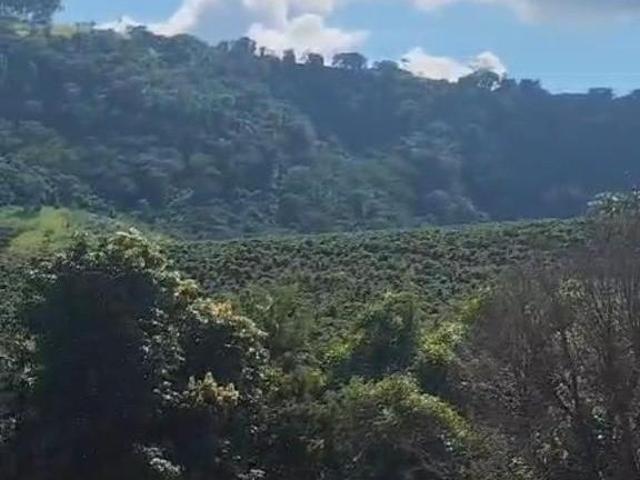 Sítio e chácara venda em Região Geográfica Imediata de Passos, Ibiraci