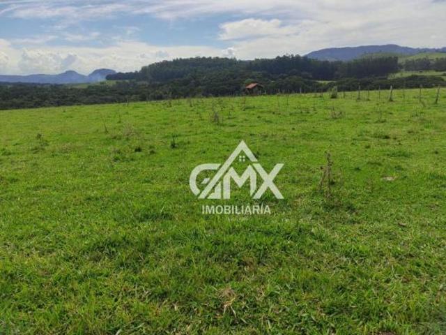 Sítio e chácara venda em Região Geográfica Imediata de Cornélio Procópio-Bandeirantes, Sapopema