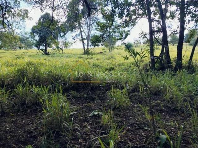 Sítio e chácara venda em Lagoa Grande, Patos de Minas