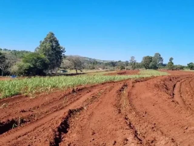 Fazenda venda em Região Imediata de Piracicaba, Região Metropolitana de Piracicaba