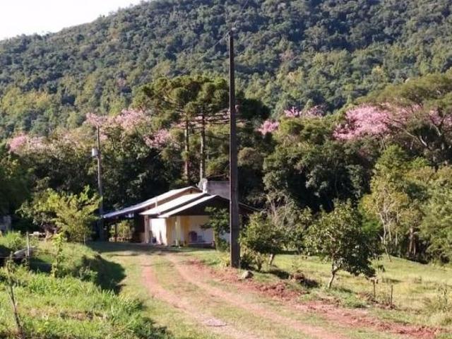 Sítio e chácara venda em Região Geográfica Imediata de Caxias do Sul, Gramado
