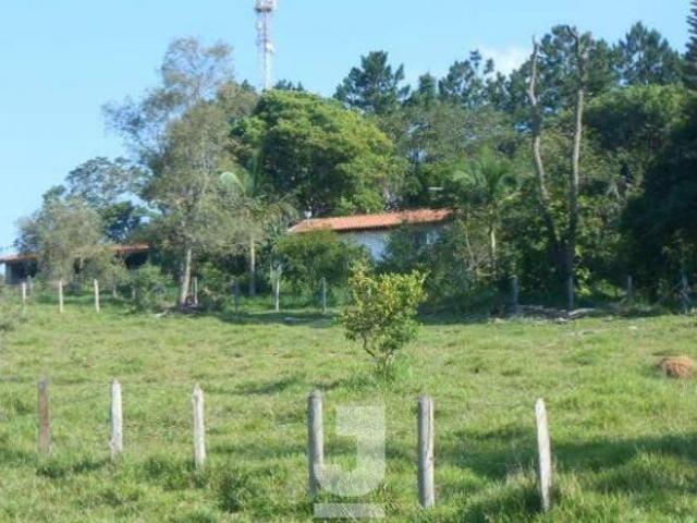 Sítio e chácara venda em Região Imediata de Amparo, Amparo