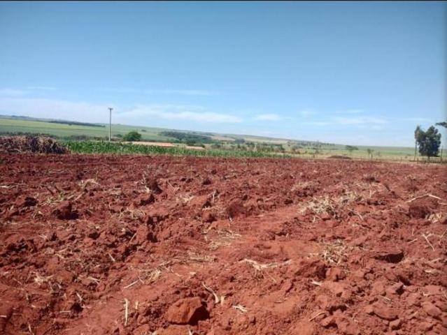 Sítio e chácara venda em Boracéia, Região Geográfica Intermediária de Bauru