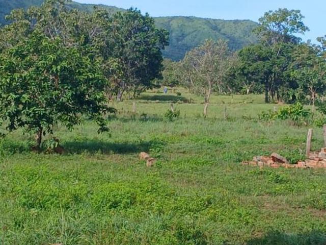 Sítio e chácara venda em Região Geográfica Imediata de Flores de Goiás, Região Integrada de Desenvolvimento do Distrito Federal e Entorno