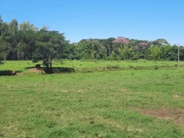 Sítio e chácara venda em Região Geográfica Imediata de Cascavel, Cascavel