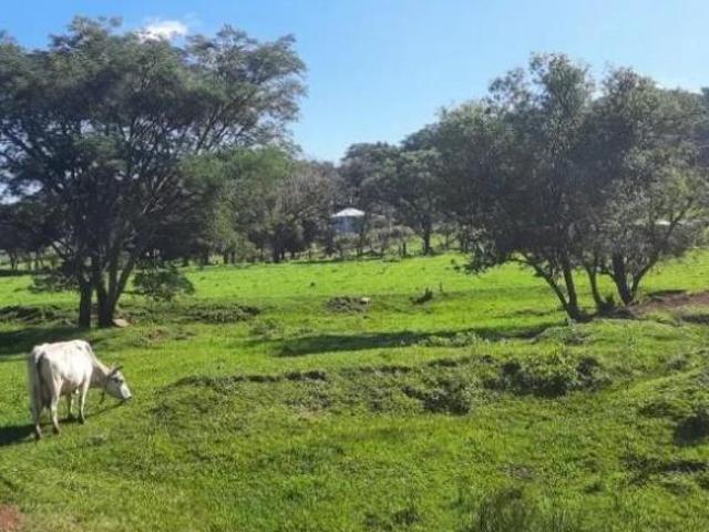 Sítio e chácara venda em Região Geográfica Imediata de Cascavel, Cascavel