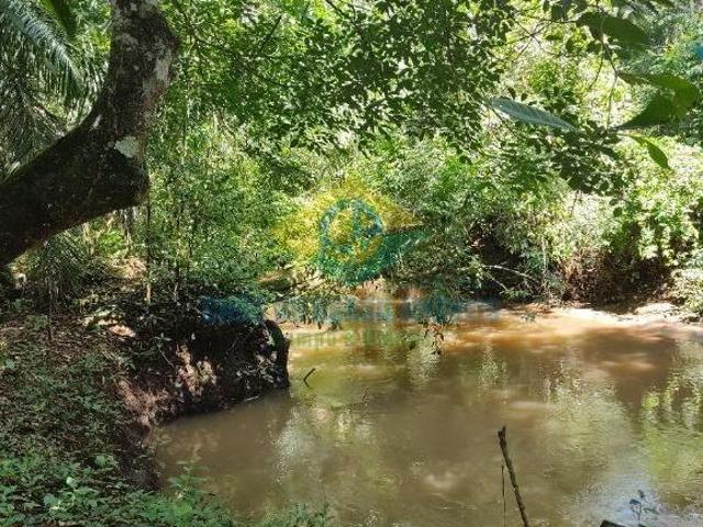 Sítio e chácara venda em Região Geográfica Imediata de Campo Grande, Rochedo