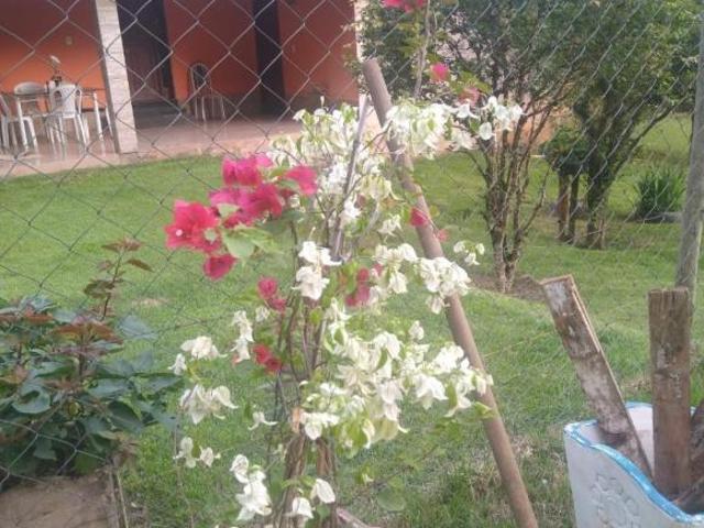 Sítio e chácara venda em Ipaba