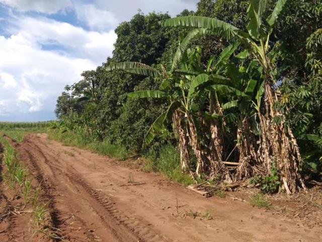 Sítio e chácara venda em Região Imediata de Campinas, Região Metropolitana de Campinas