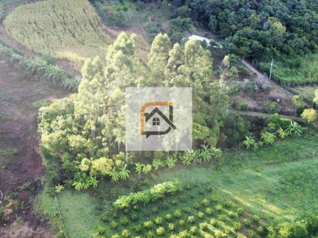 Sítio e chácara venda em Região Geográfica Imediata de Novo Hamburgo - São Leopoldo, Bom Princípio