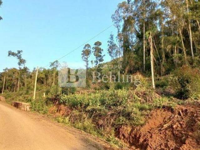 Sítio e chácara venda em Região Geográfica Imediata de Caxias do Sul, Nova Petrópolis
