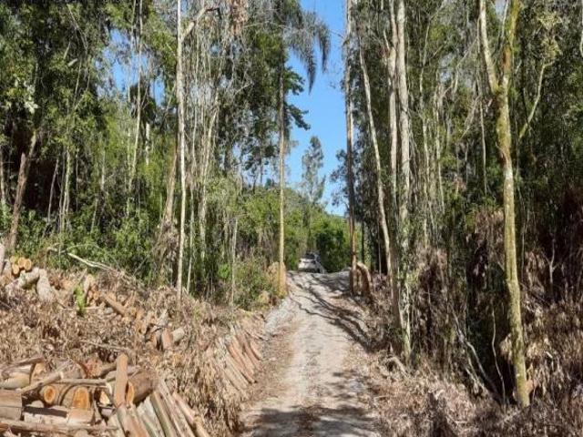 Sítio e chácara venda em Região Geográfica Imediata de Caxias do Sul, Nova Petrópolis