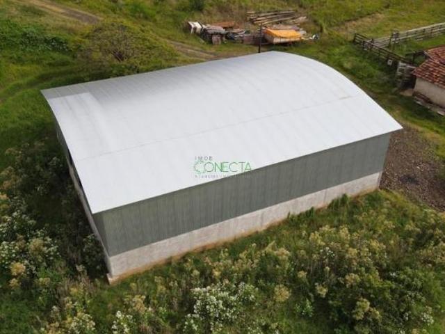 Sítio e chácara venda em Região Geográfica Imediata de Londrina, Assaí