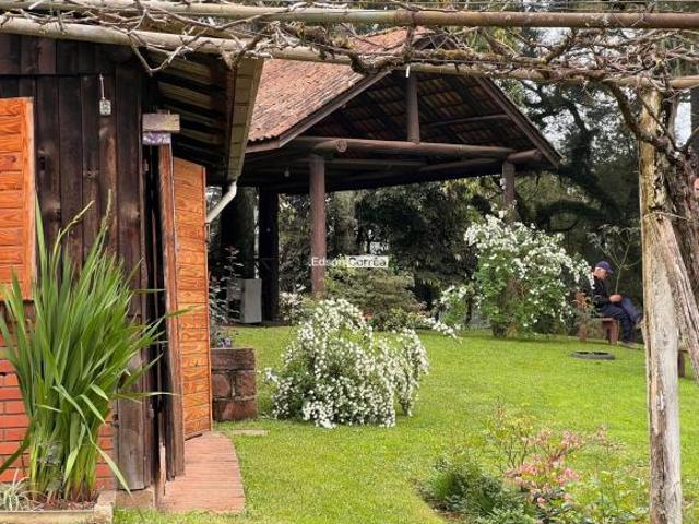 Sítio e chácara venda em Pedra Branca, São Francisco de Paula