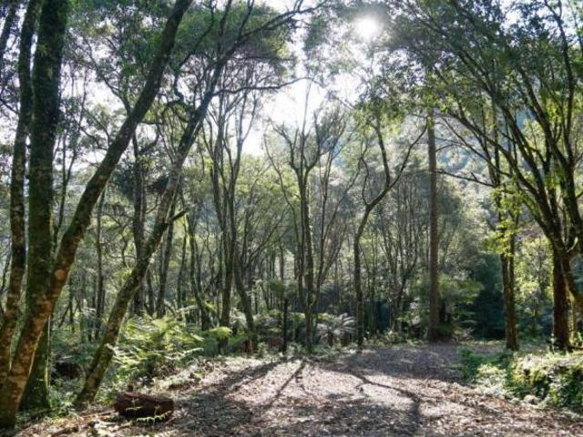 Sítio e chácara venda em Região Geográfica Imediata de Caxias do Sul, Canela