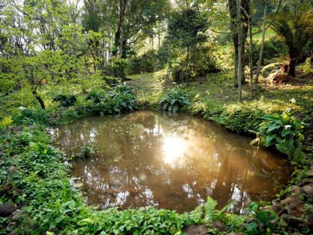 Sítio e chácara venda em Região Geográfica Imediata de Caxias do Sul, Canela