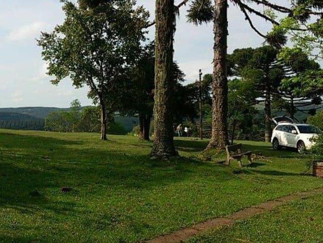 Sítio e chácara venda em Região Geográfica Imediata de Caxias do Sul, São Francisco de Paula