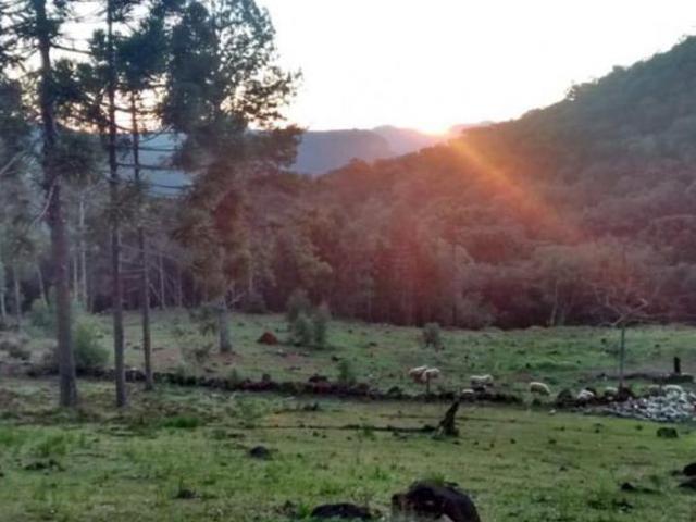 Sítio e chácara venda em Região Geográfica Imediata de Caxias do Sul, Canela
