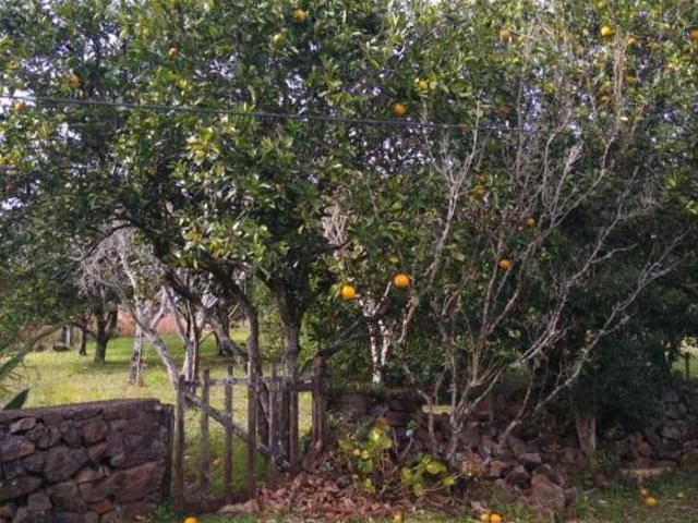 Sítio e chácara venda em Região Geográfica Imediata de Caxias do Sul, Gramado