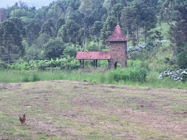 Sítio e chácara venda em Região Geográfica Imediata de Caxias do Sul, Gramado