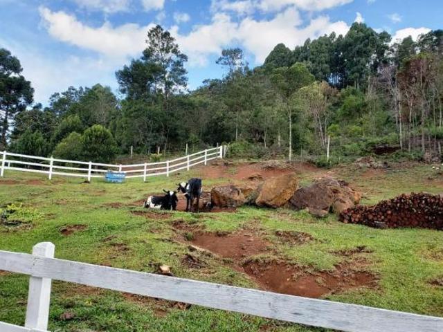Sítio e chácara venda em Região Geográfica Imediata de Caxias do Sul, Gramado