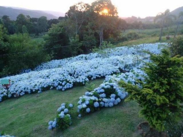 Sítio e chácara venda em Região Geográfica Imediata de Caxias do Sul, Gramado