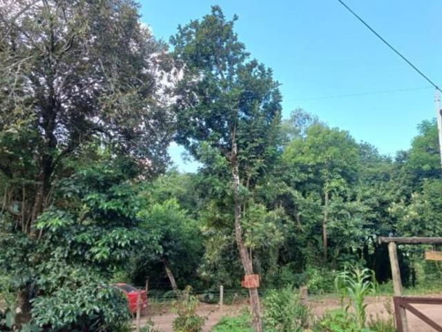 Sítio e chácara venda em Região Geográfica Imediata de Caxias do Sul, Canela