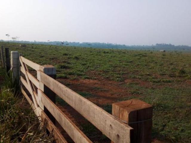 Sítio e chácara venda em Região Geográfica Imediata de Cuiabá, Região Metropolitana do Vale do Rio Cuiabá