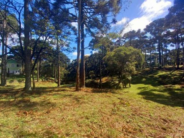 Sítio e chácara venda em Região Geográfica Imediata de Caxias do Sul, Canela