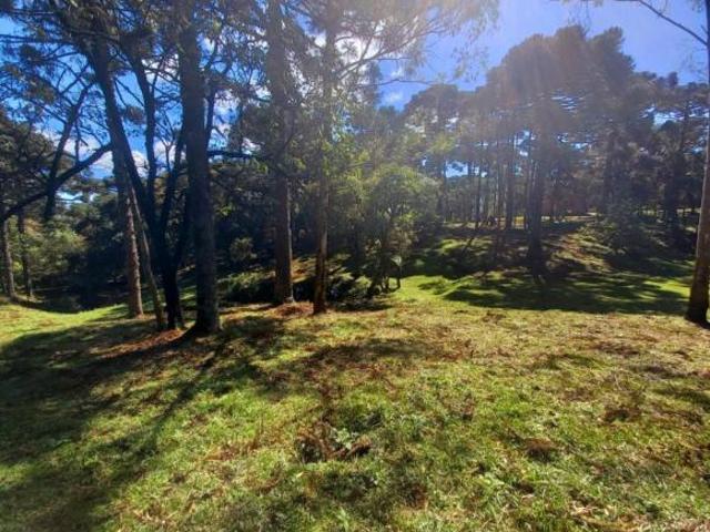 Sítio e chácara venda em Região Geográfica Imediata de Caxias do Sul, Canela
