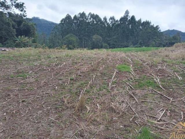 Sítio e chácara venda em Região Geográfica Imediata de Caxias do Sul, Picada Café