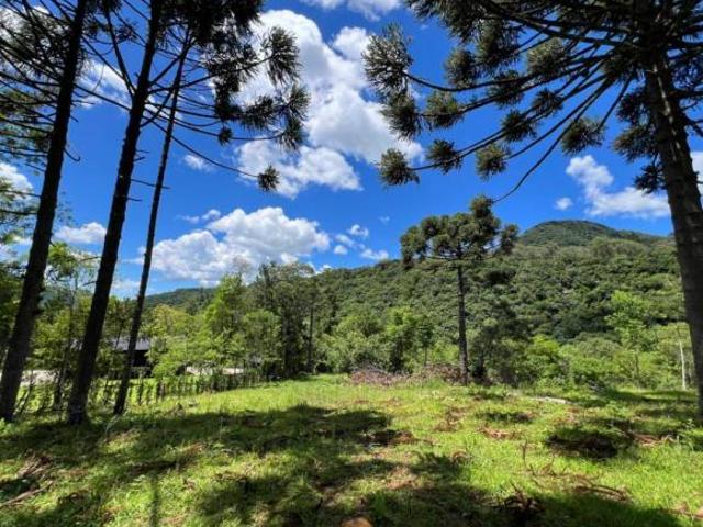Sítio e chácara venda em Região Geográfica Imediata de Caxias do Sul, Canela
