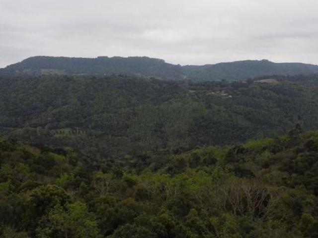 Sítio e chácara venda em Região Geográfica Imediata de Caxias do Sul, Nova Petrópolis