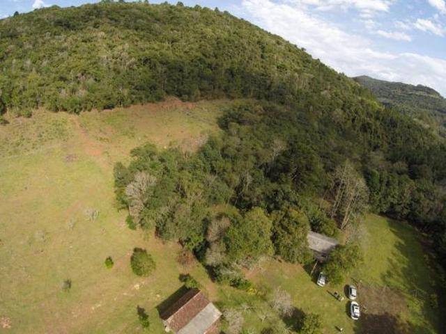Sítio e chácara venda em Região Geográfica Imediata de Caxias do Sul, Nova Petrópolis