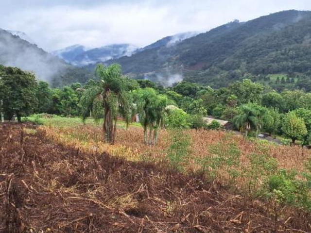 Sítio e chácara venda em Região Geográfica Imediata de Caxias do Sul, Gramado